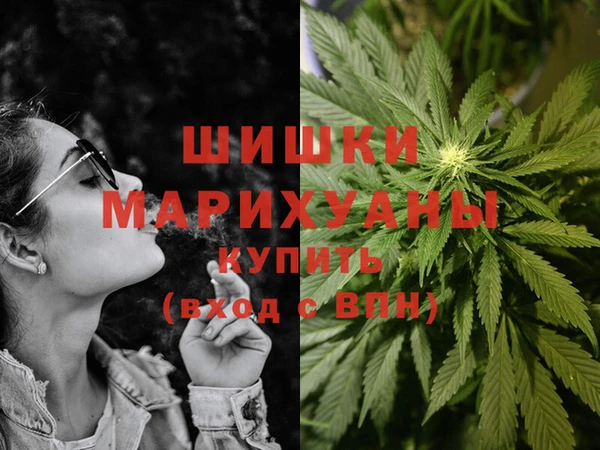 дурь Бородино