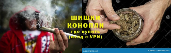 ГАЛЛЮЦИНОГЕННЫЕ ГРИБЫ Балахна