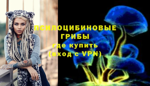 мяу мяу мука Богородицк