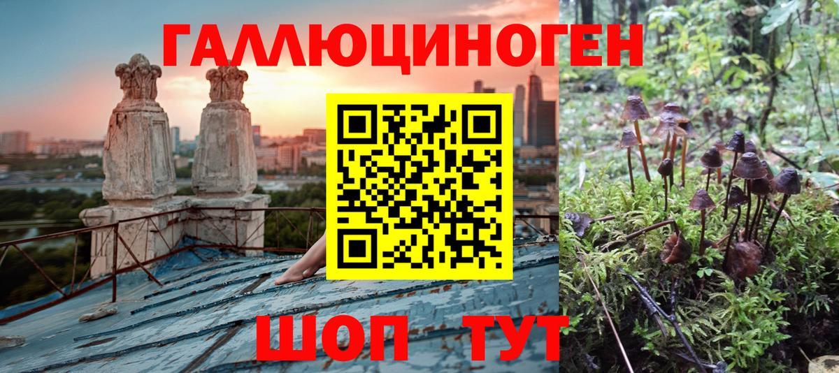 Галлюциногенные грибы MAGIC MUSHROOMS  Вход с VPN  Рыбинск 